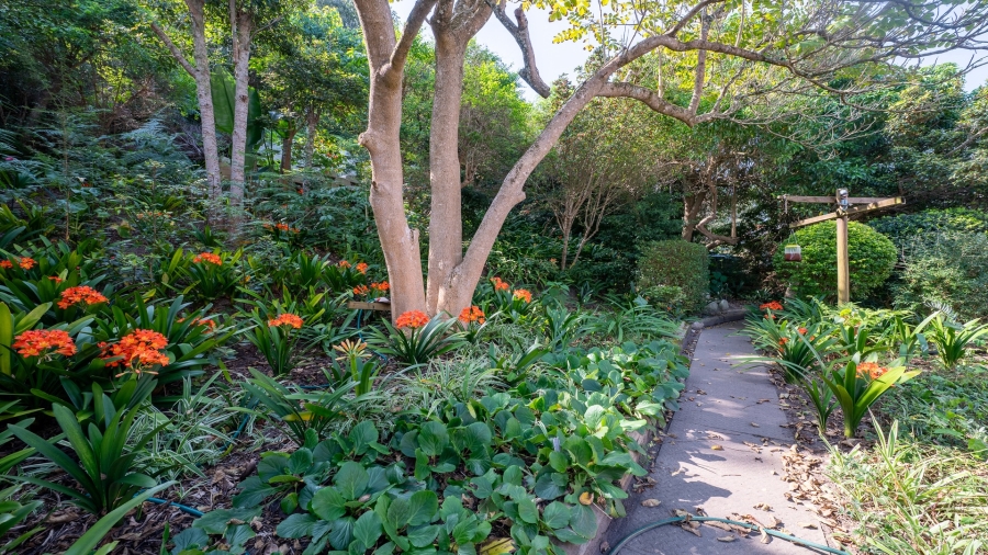 5 Bedroom Property for Sale in Paradise Western Cape